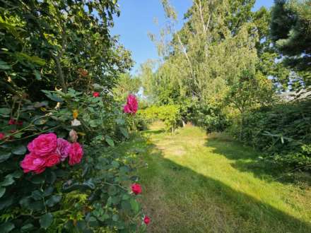 Bushy Hill Road, Westbere, Image 16