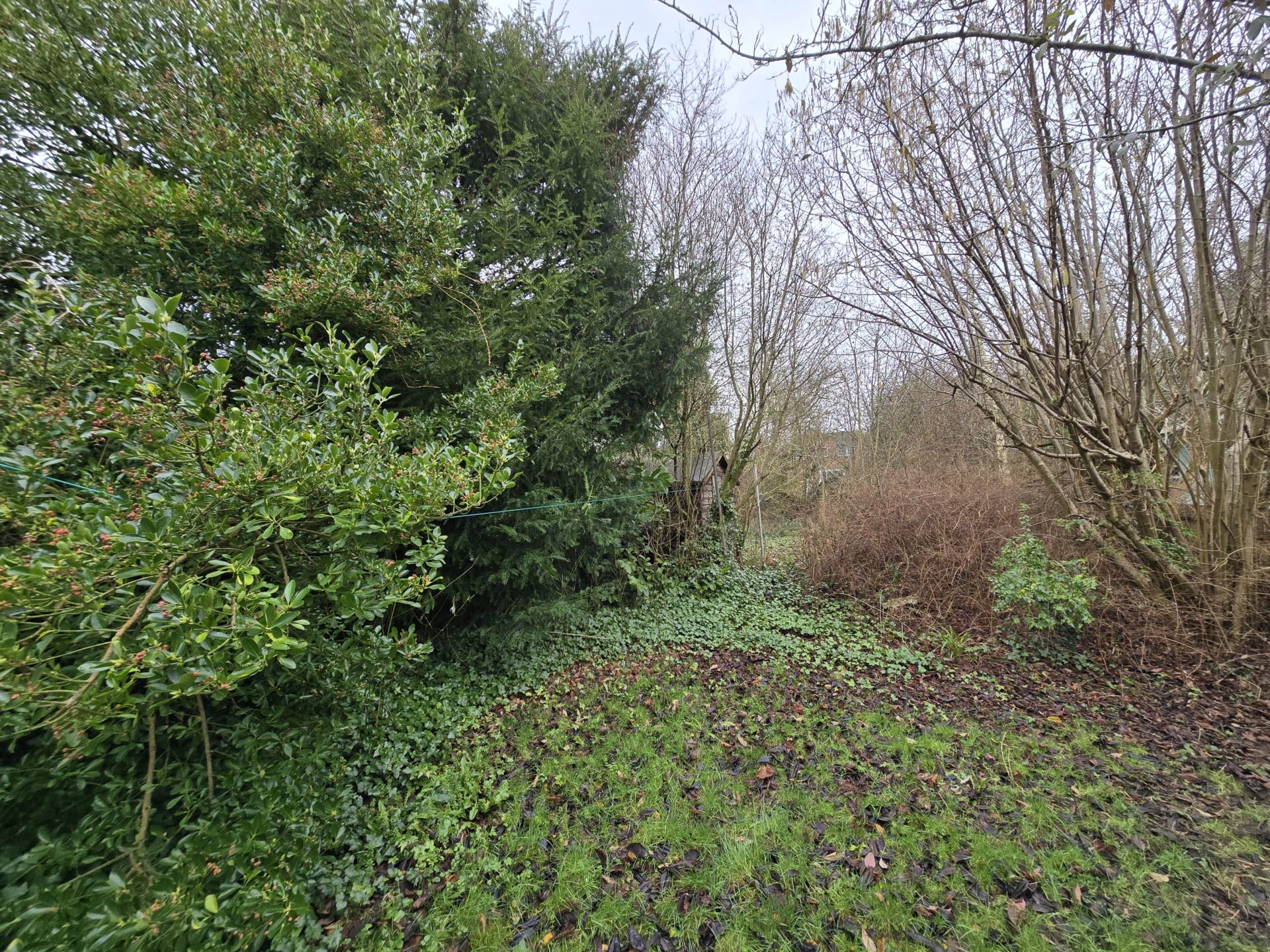 Mount Road, Canterbury, Image 13