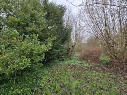 Mount Road, Canterbury, Image 13