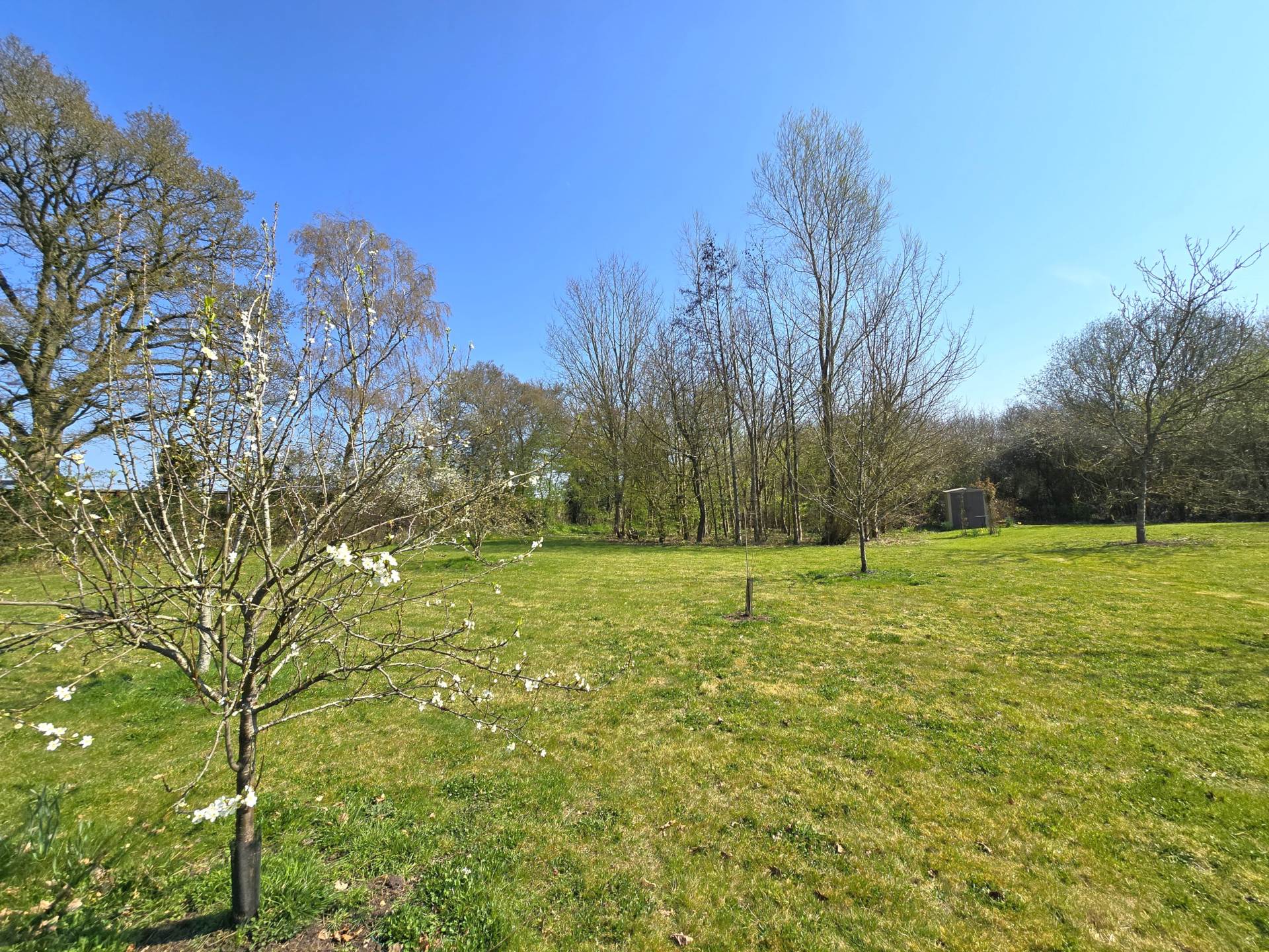 Cobbs Hill, Old Wives Lees, Image 21