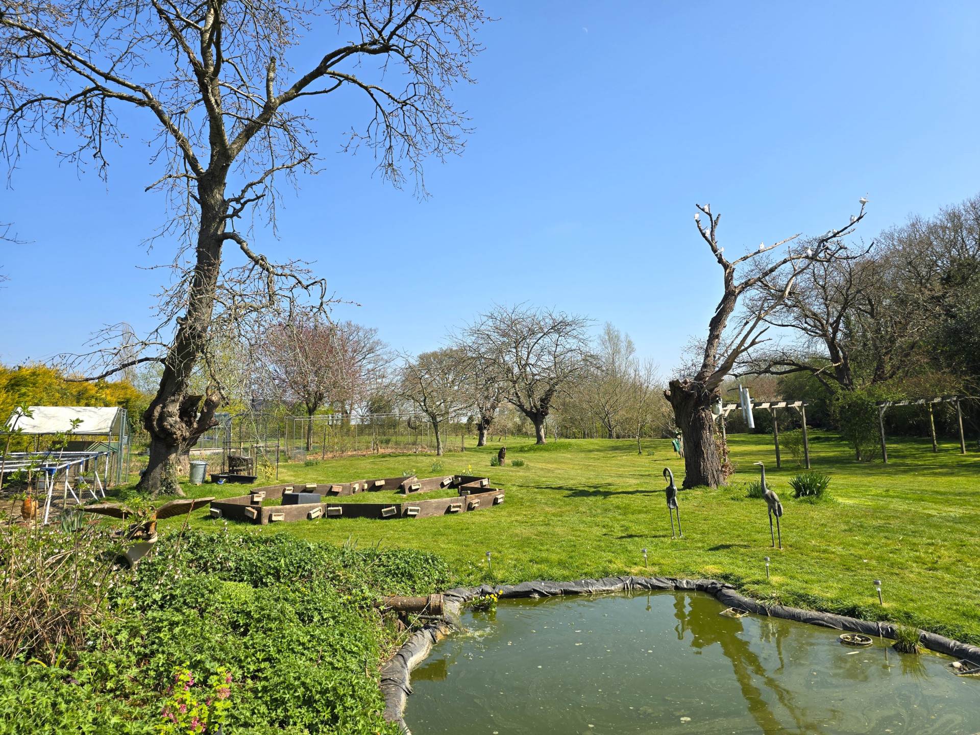 Cobbs Hill, Old Wives Lees, Image 22