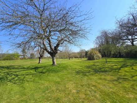 Cobbs Hill, Old Wives Lees, Image 23