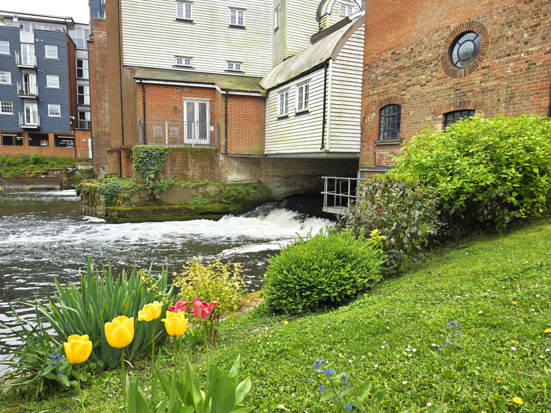 Waters Edge, Canterbury, Image 14