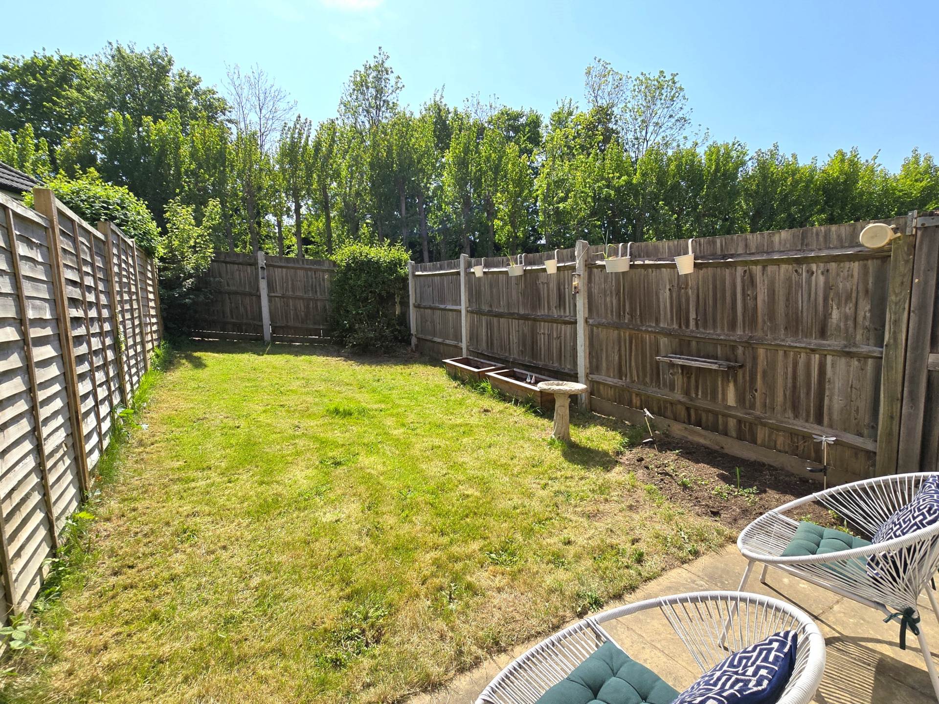 Scott Avenue, Canterbury, Image 12