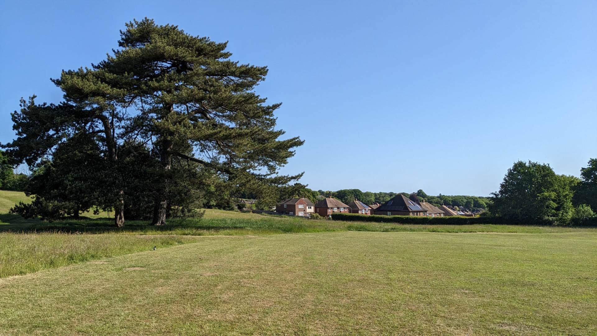 Hillside Avenue, Canterbury, Image 24