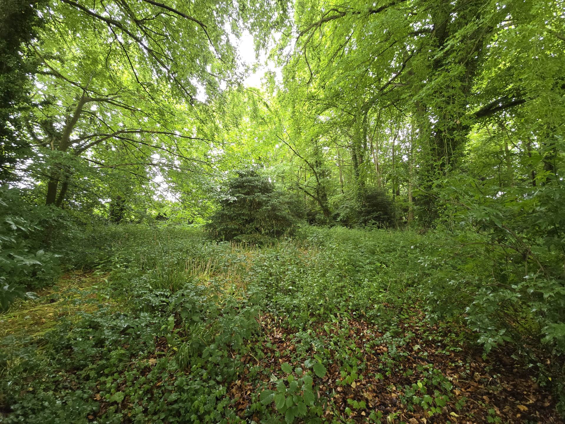 Patrixbourne Road, Bridge, Image 22