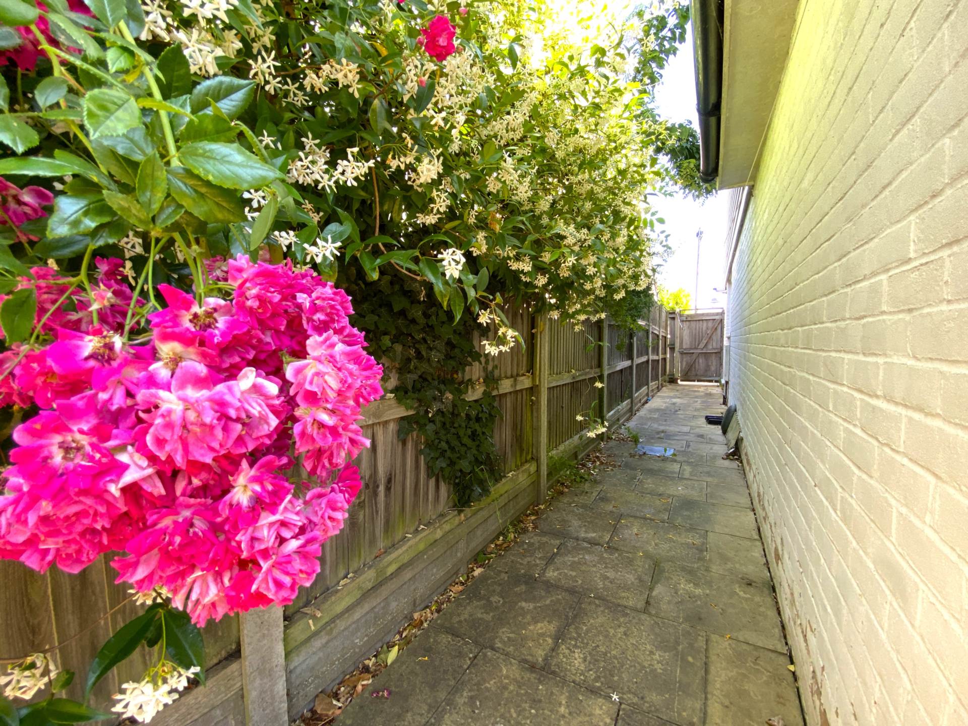 Cromwell Road, Canterbury, Image 25