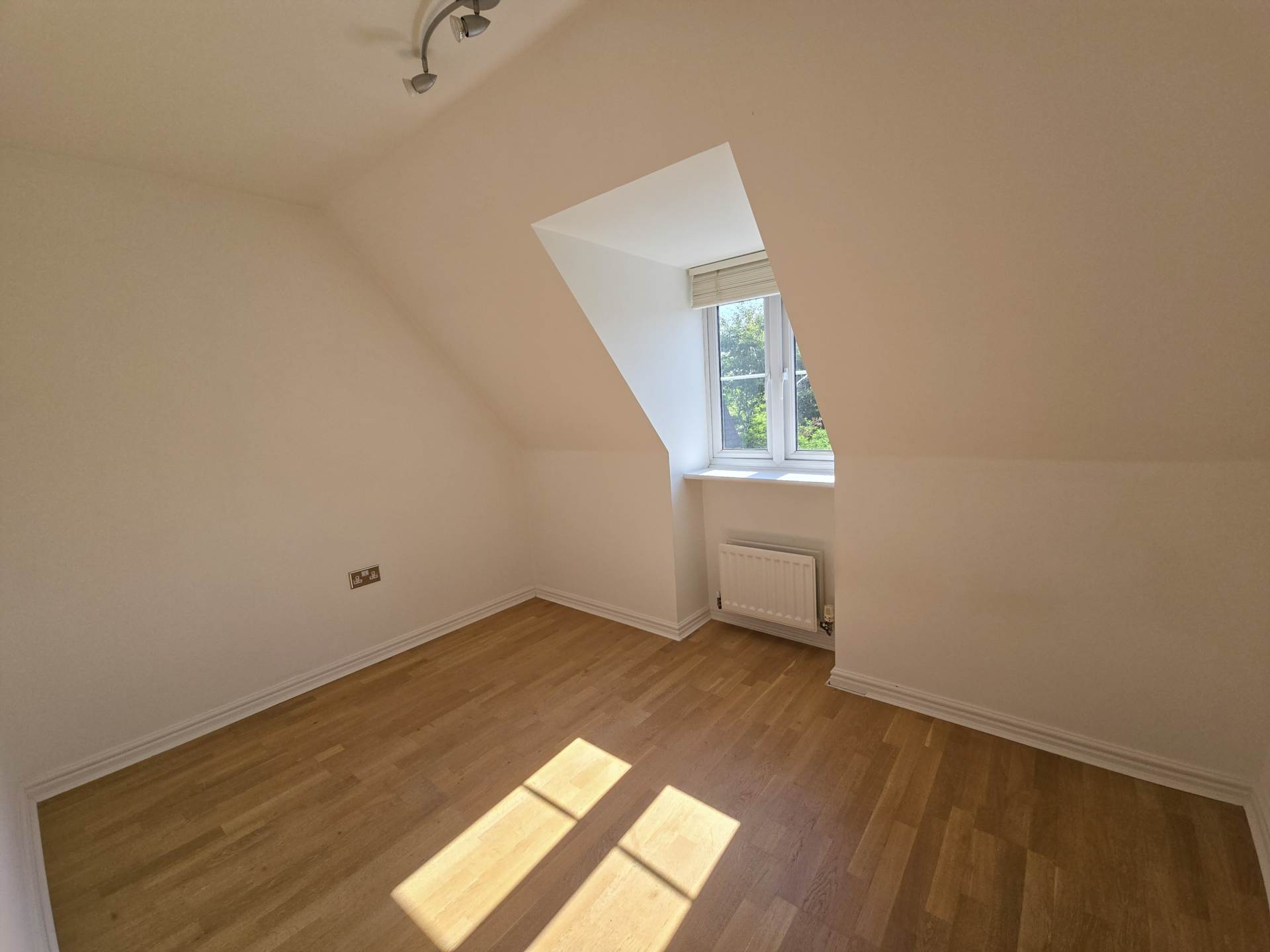 Gilbert Way, Canterbury, Image 15