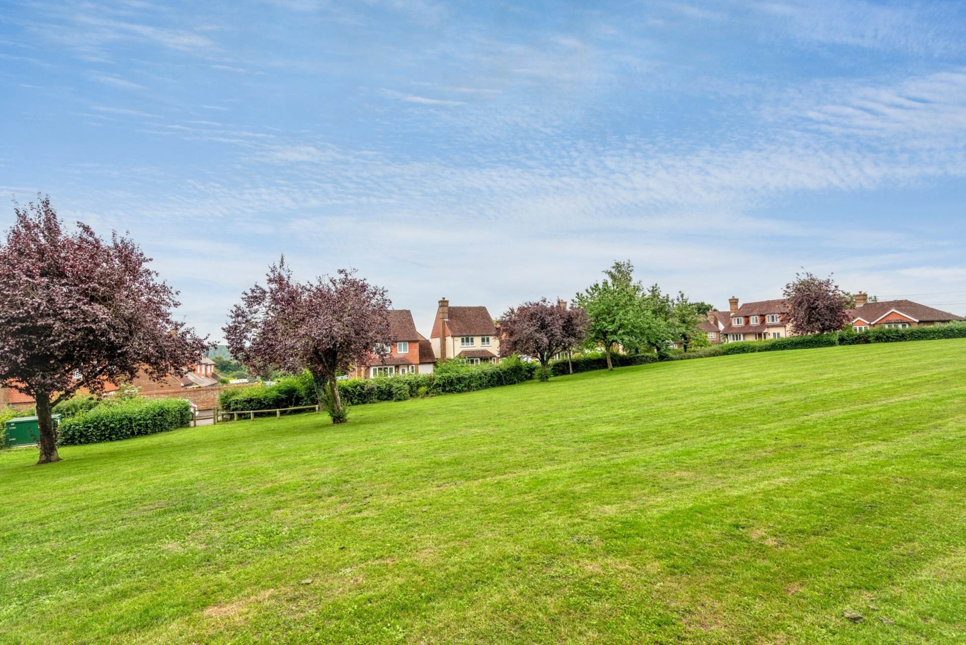 Cherry Orchard, Old Wives Lees, Image 16