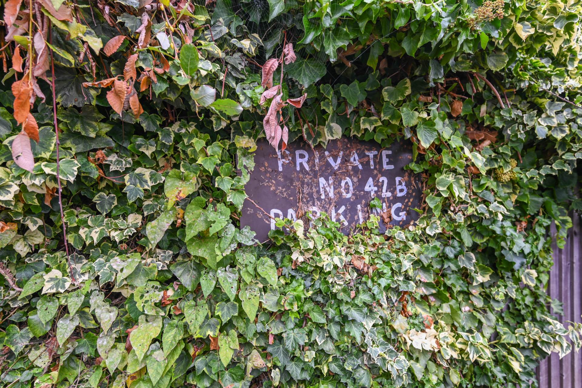 Claremont Place, Canterbury, Image 7