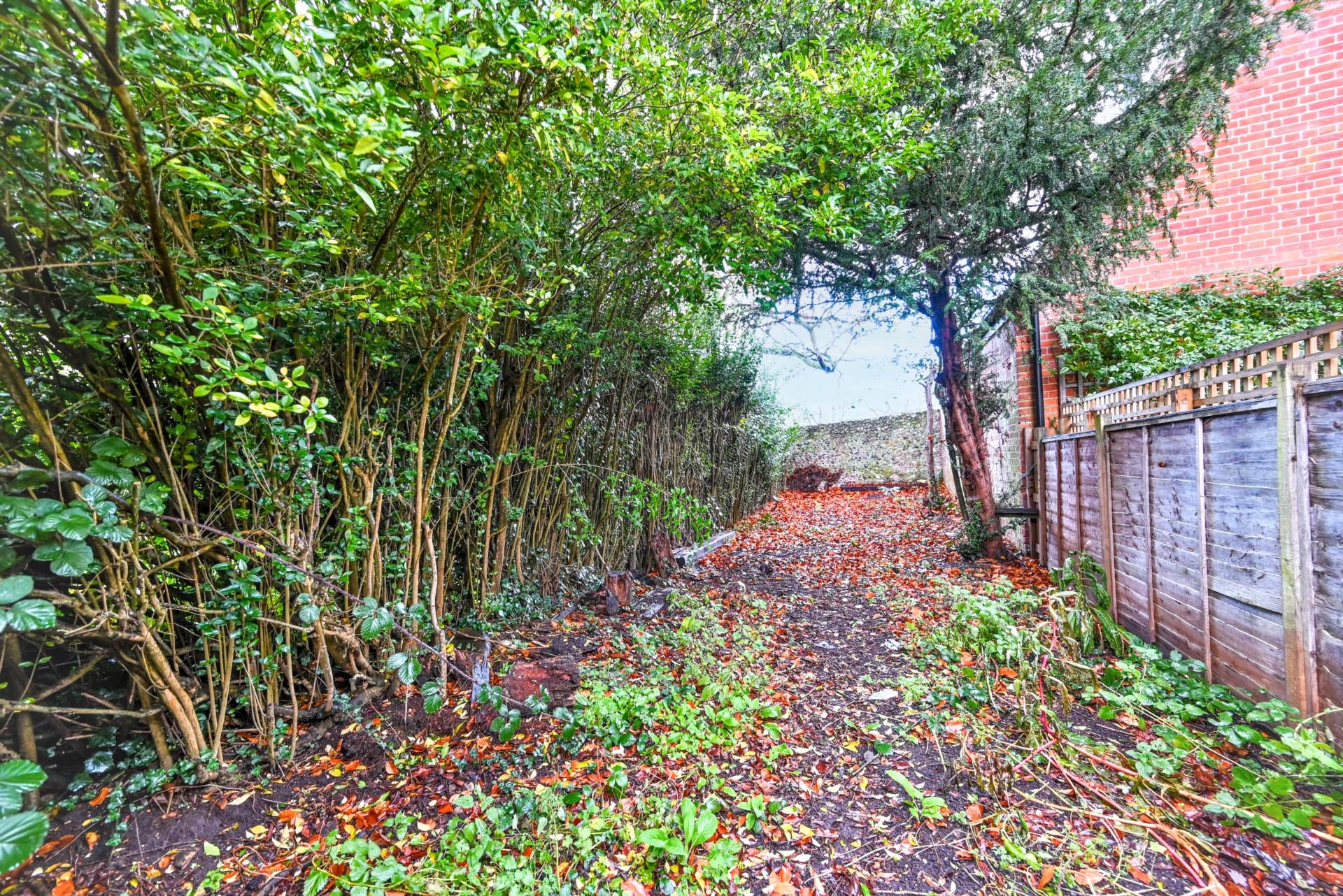 St. Peter's Lane, Canterbury, Image 8