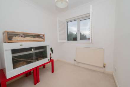 Link Road, Tyler Hill, Image 11