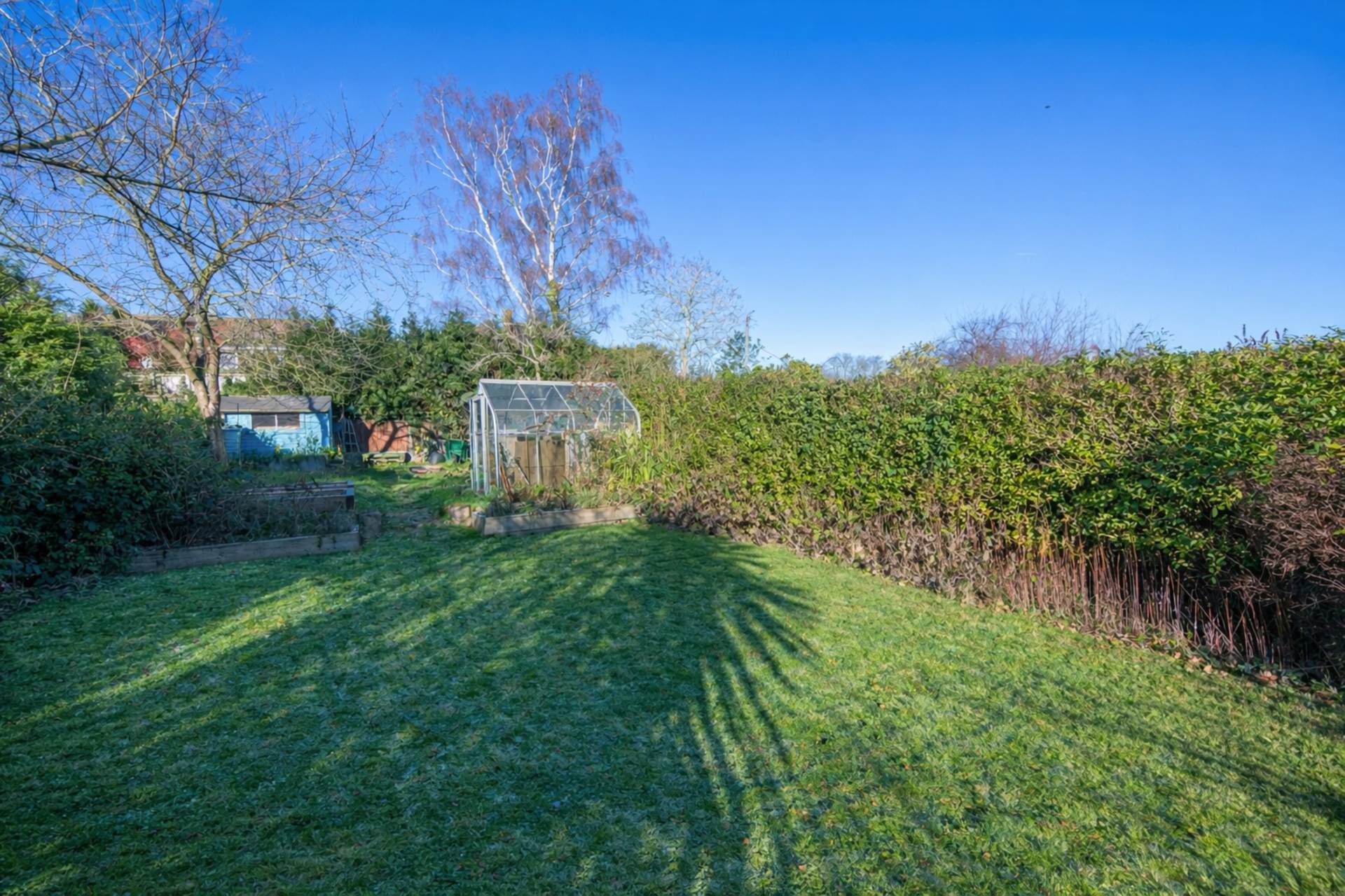 Hillside Avenue, Canterbury, Image 17