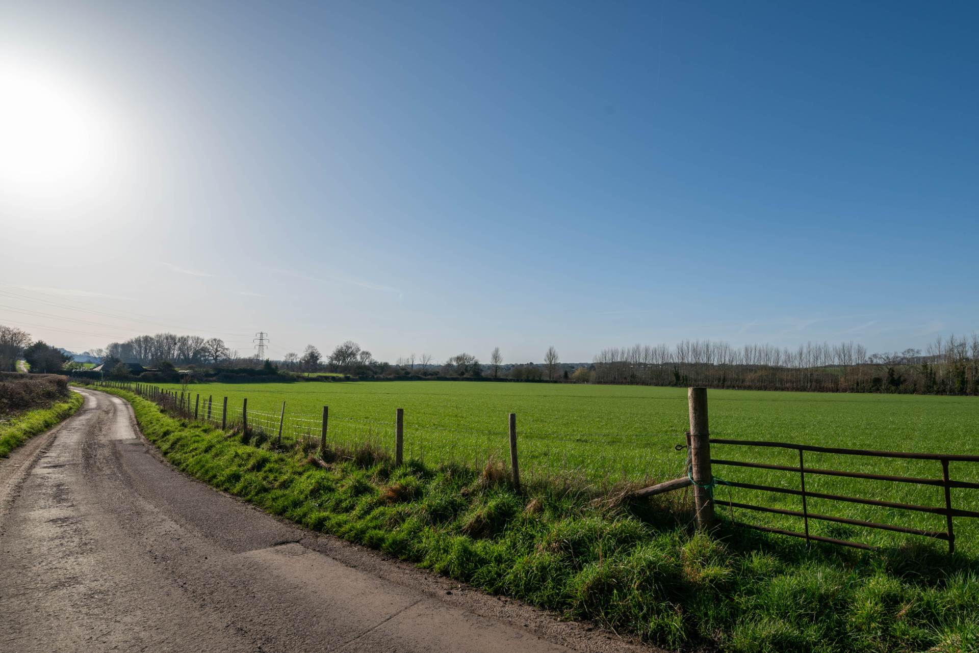 Bobbin Lodge Hill, Chartham, Image 3
