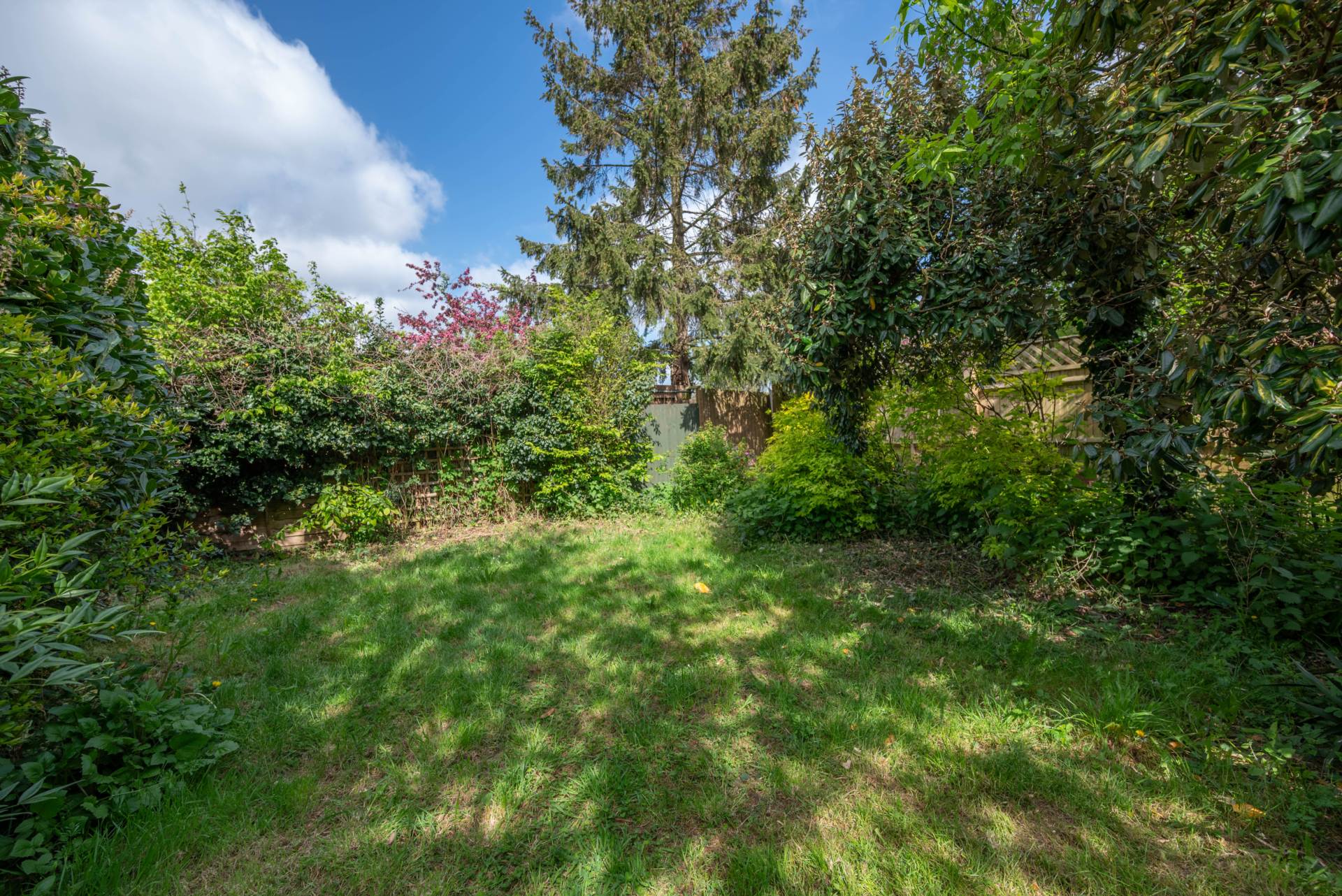 Garden Close, Rough Common, Image 13