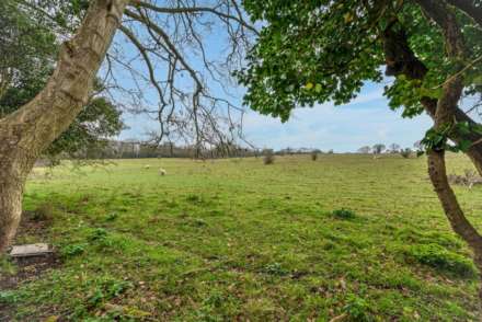 Downs Road, Canterbury, Image 16