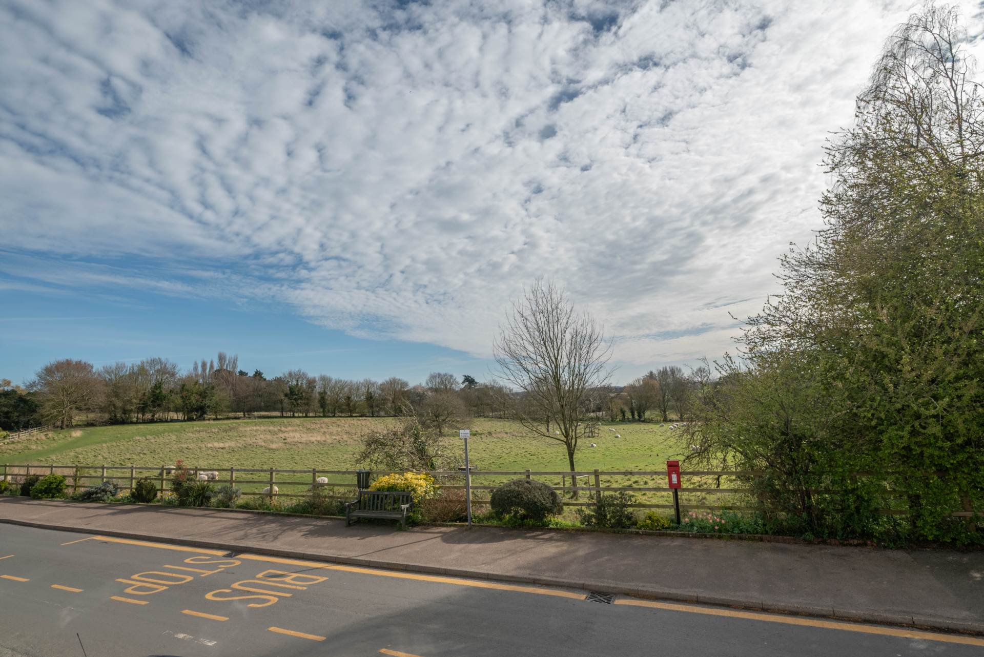 The Street, Ash, Image 9
