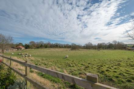 The Street, Ash, Image 15