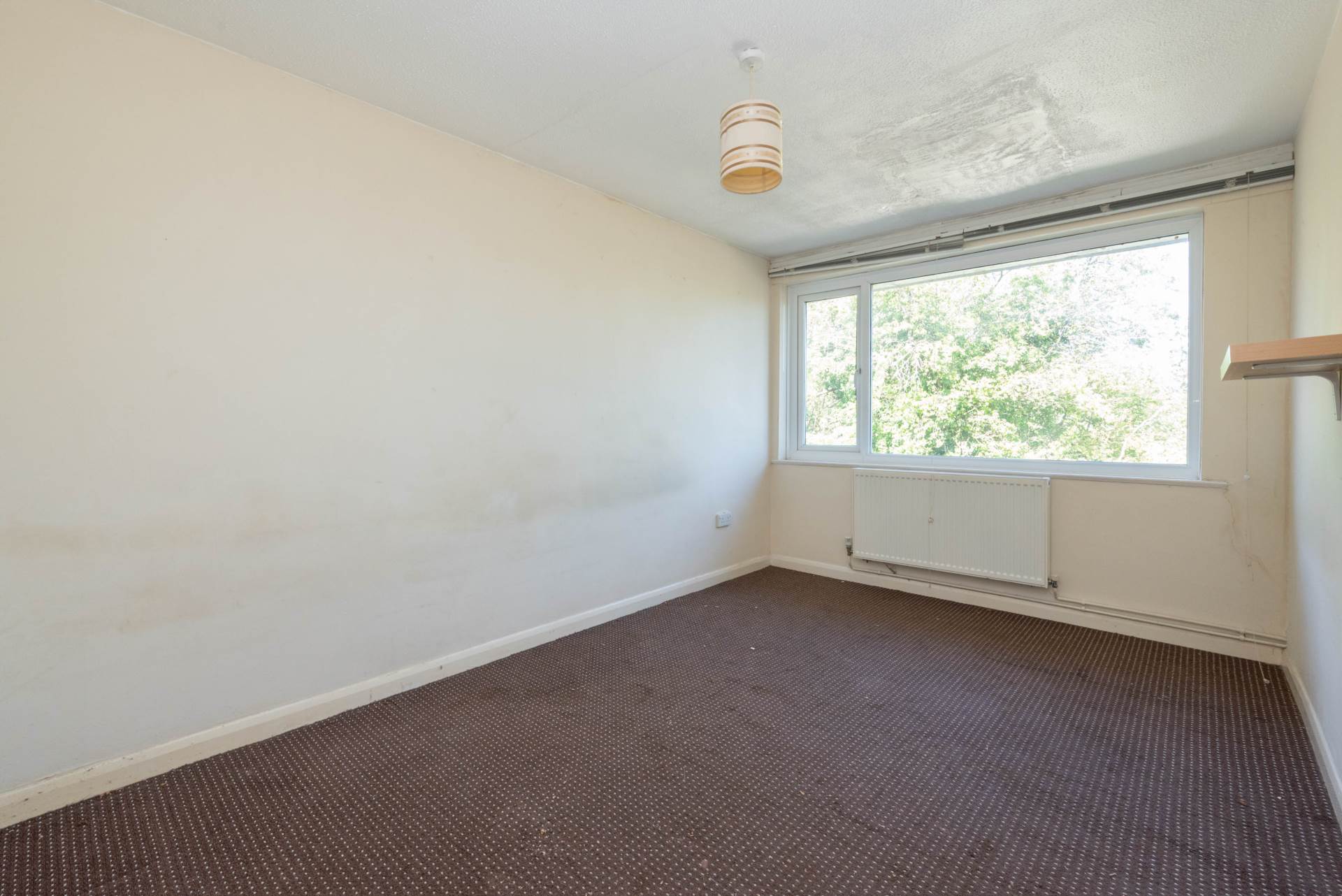 Kemsing Gardens, Canterbury, Image 4