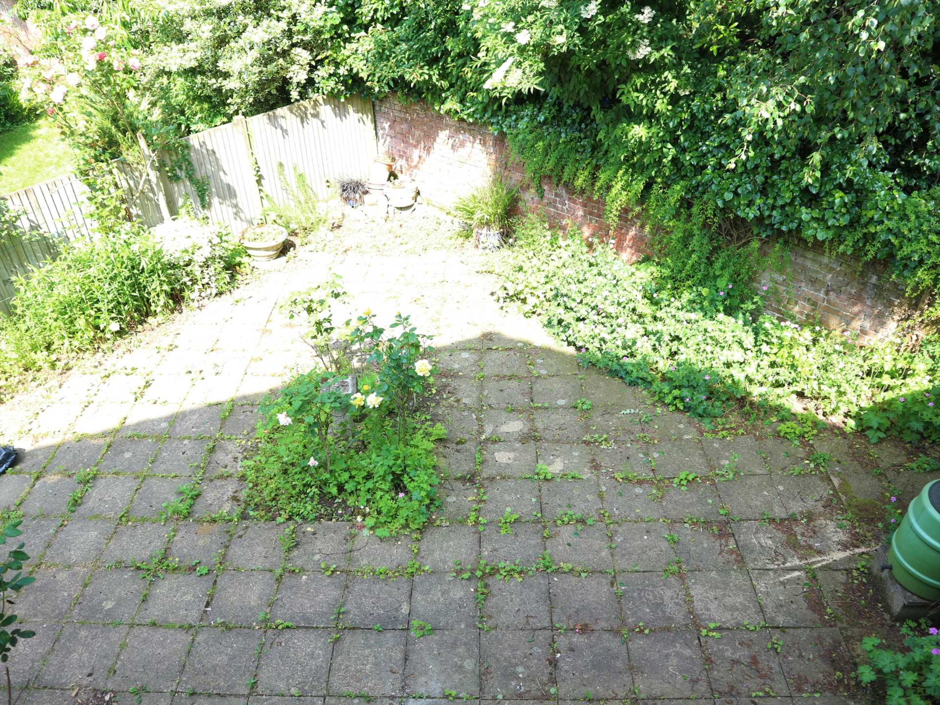 Raymond Avenue, Canterbury, Image 8