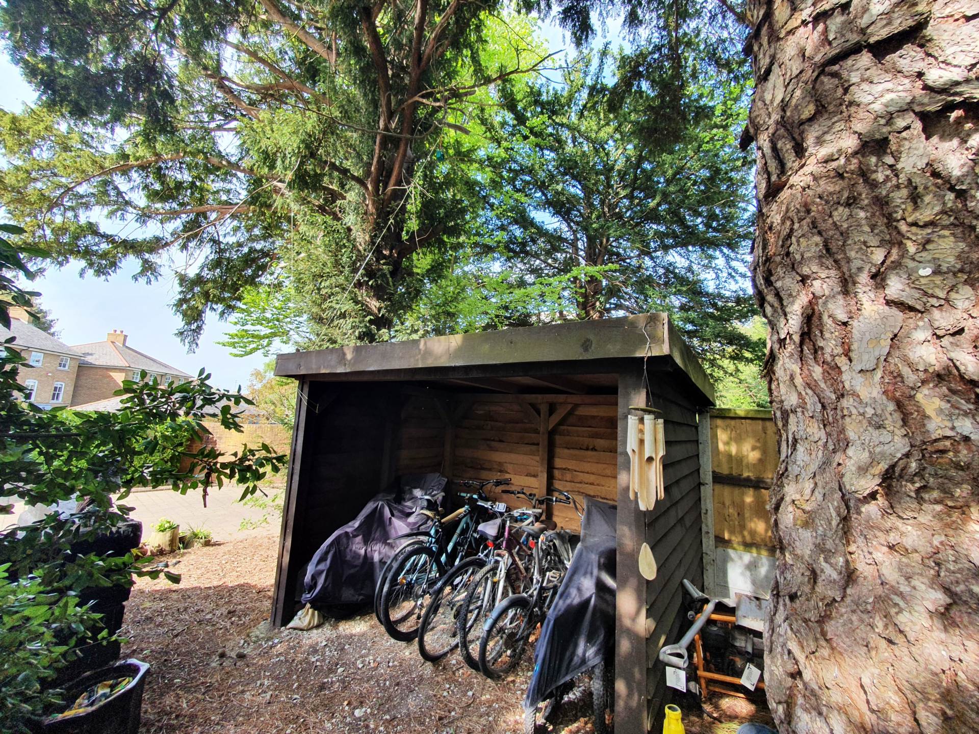 The Pines, Canterbury, Image 14