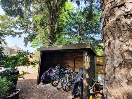 The Pines, Canterbury, Image 14