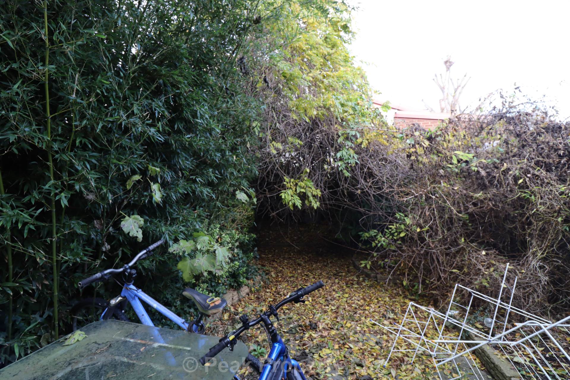 Windermere Road, Southend On Sea, Image 18