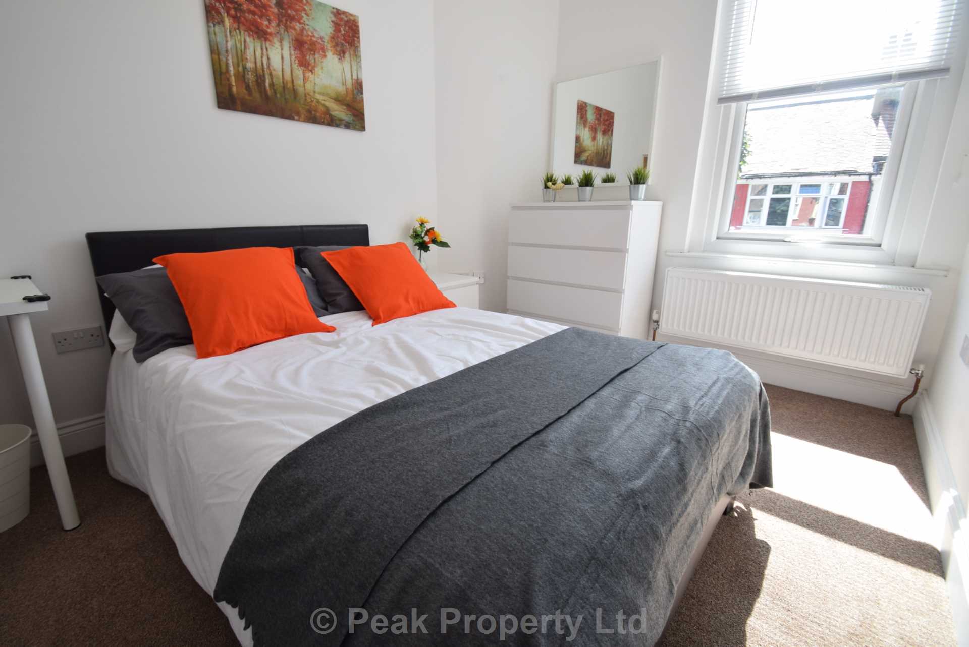 Room 5, Portland Avenue, Southend on Sea, Image 1
