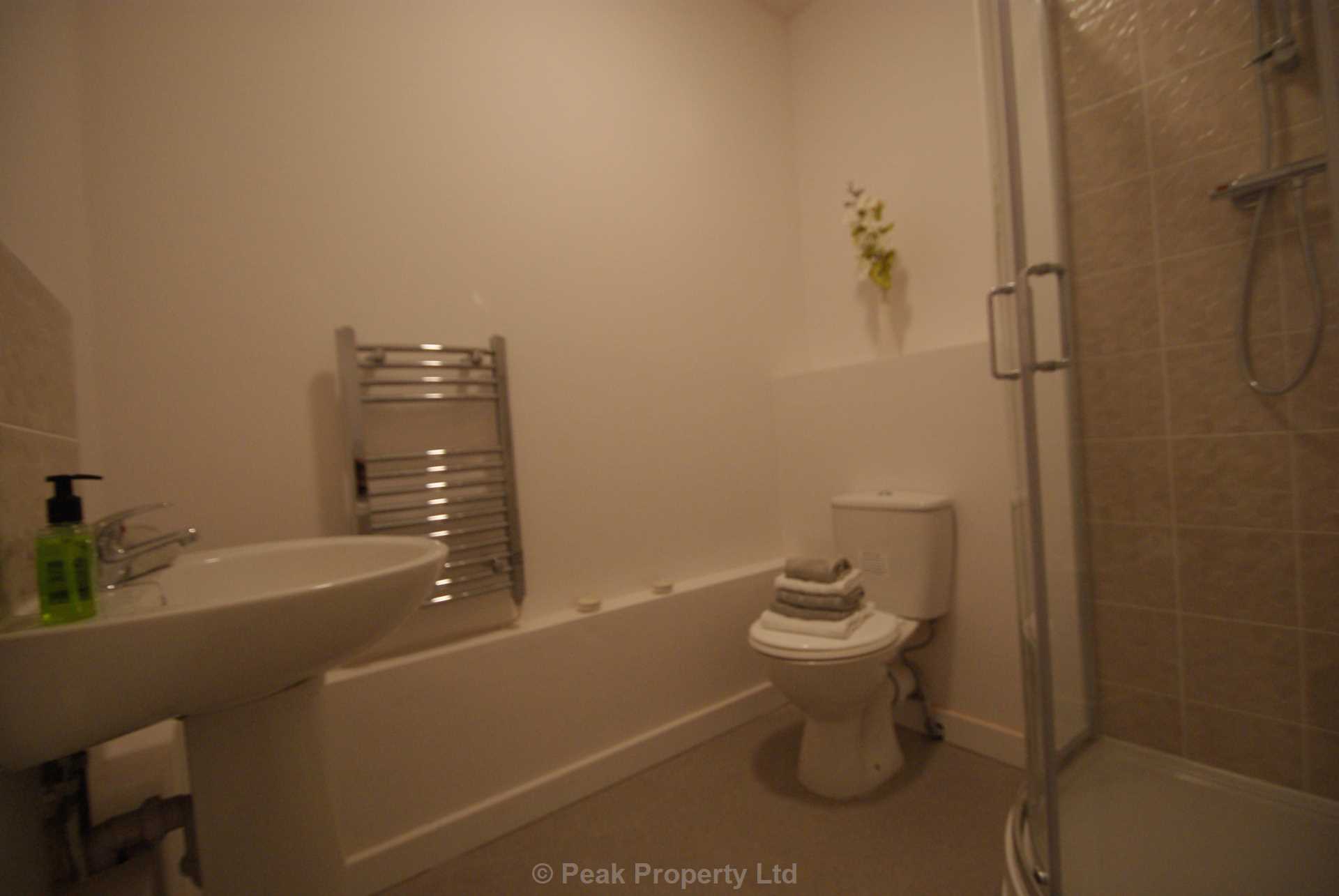 STUNNING APARTMENT WITH PARKING SPACE & EN-SUITE - The Pinnacle, Victoria Avenue, Image 15