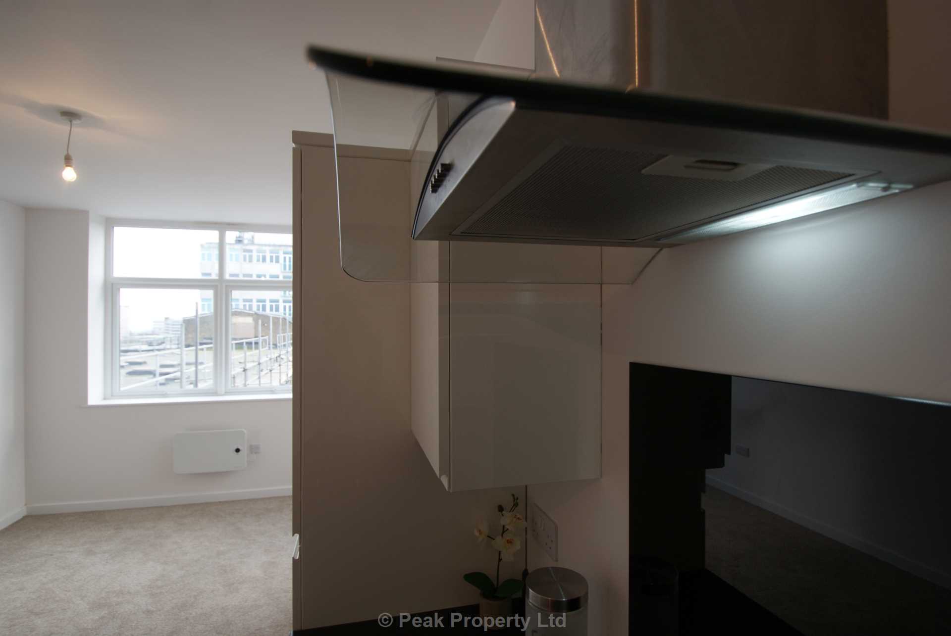 STUNNING APARTMENT WITH PARKING SPACE & EN-SUITE - The Pinnacle, Victoria Avenue, Image 16