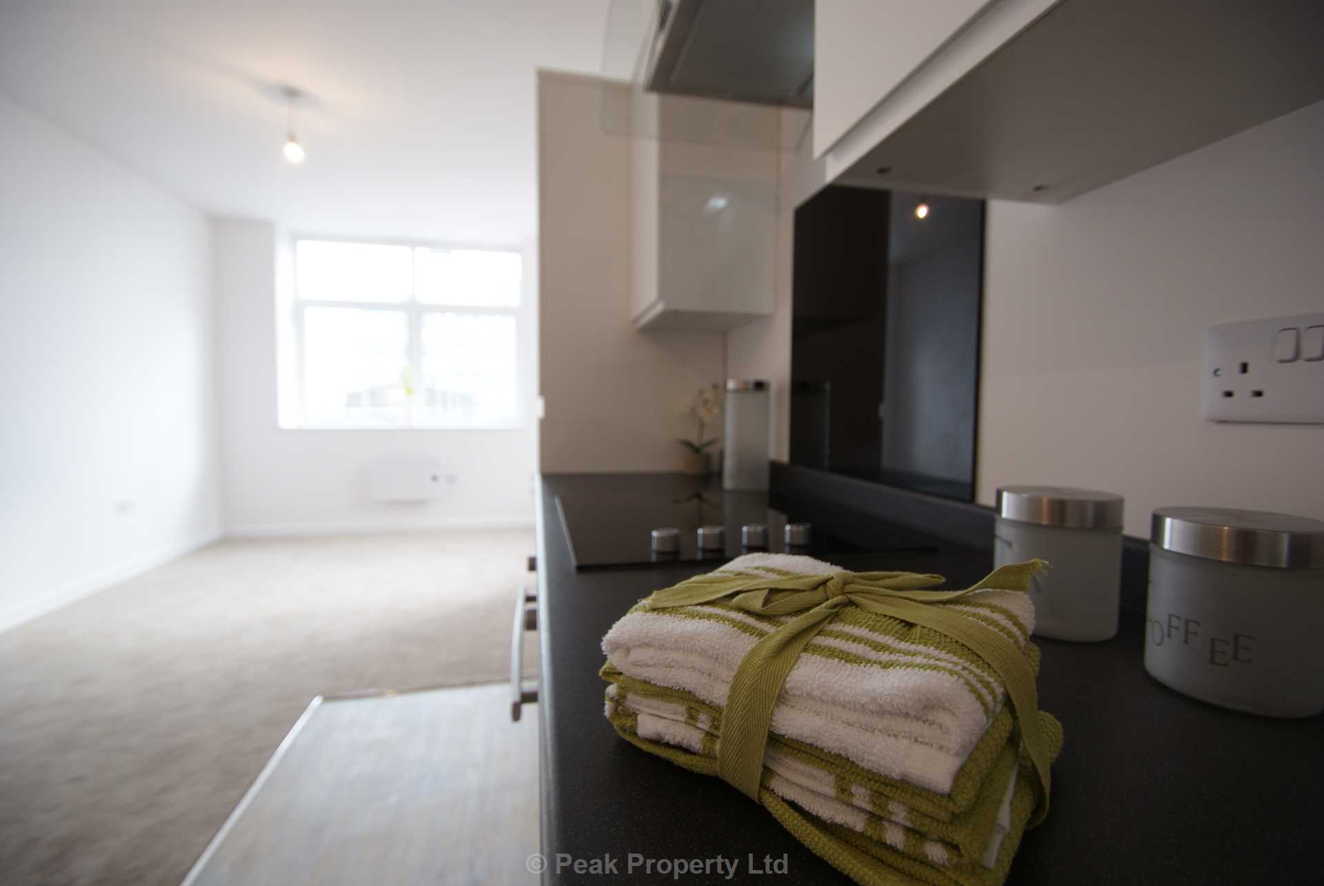 STUNNING APARTMENT WITH PARKING SPACE & EN-SUITE - The Pinnacle, Victoria Avenue, Image 2