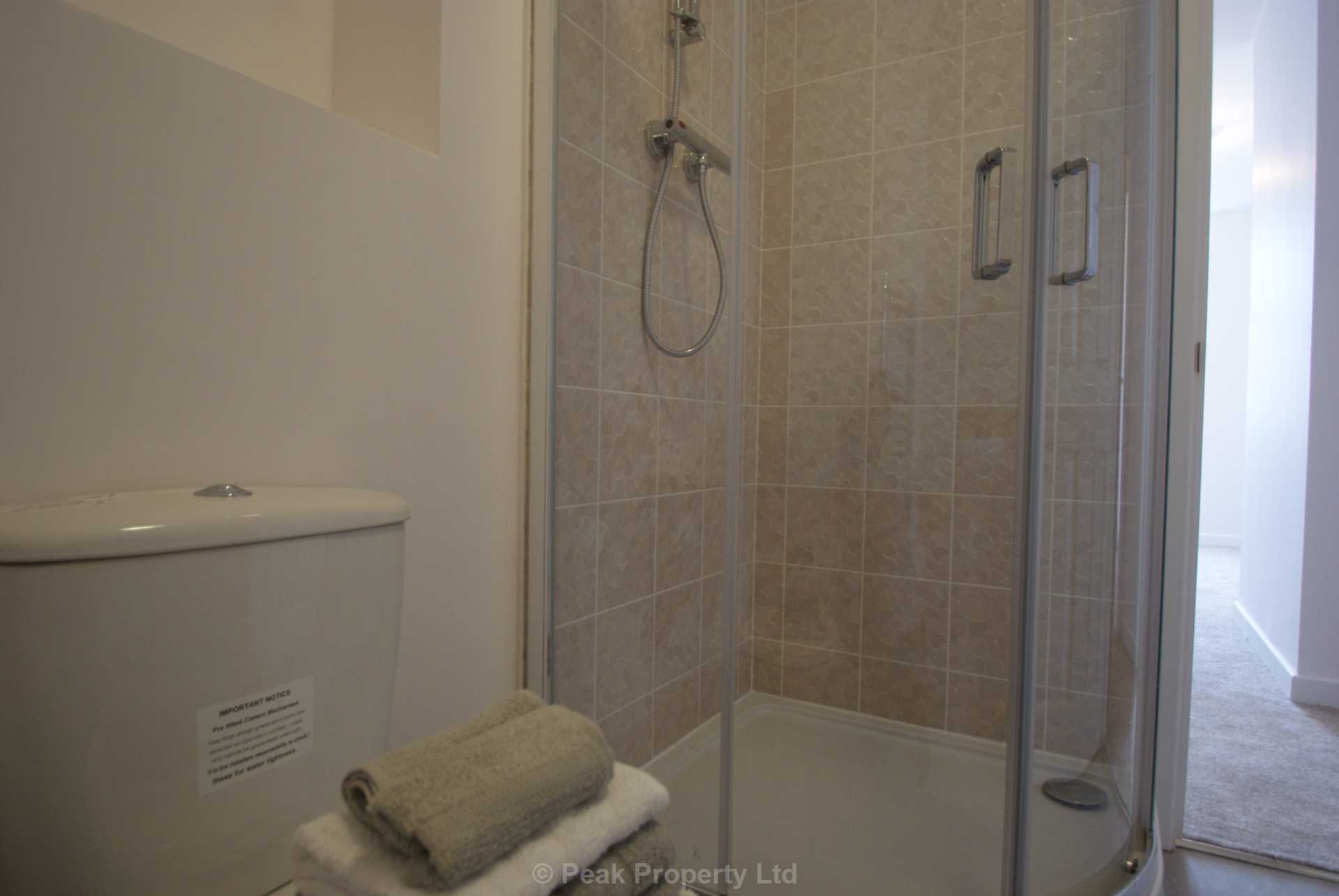 STUNNING APARTMENT WITH PARKING SPACE & EN-SUITE - The Pinnacle, Victoria Avenue, Image 21