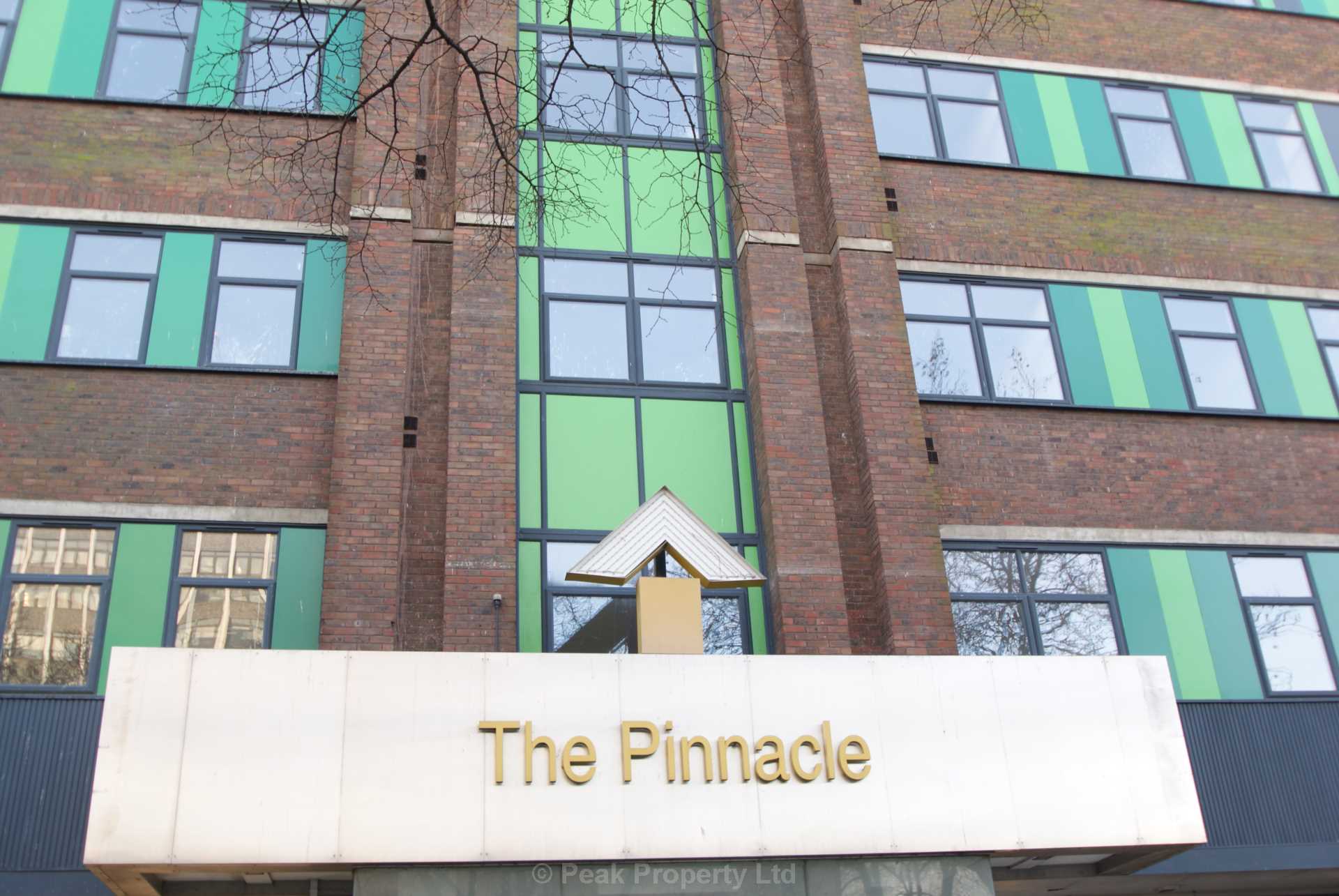 STUNNING APARTMENT WITH PARKING SPACE & EN-SUITE - The Pinnacle, Victoria Avenue, Image 4