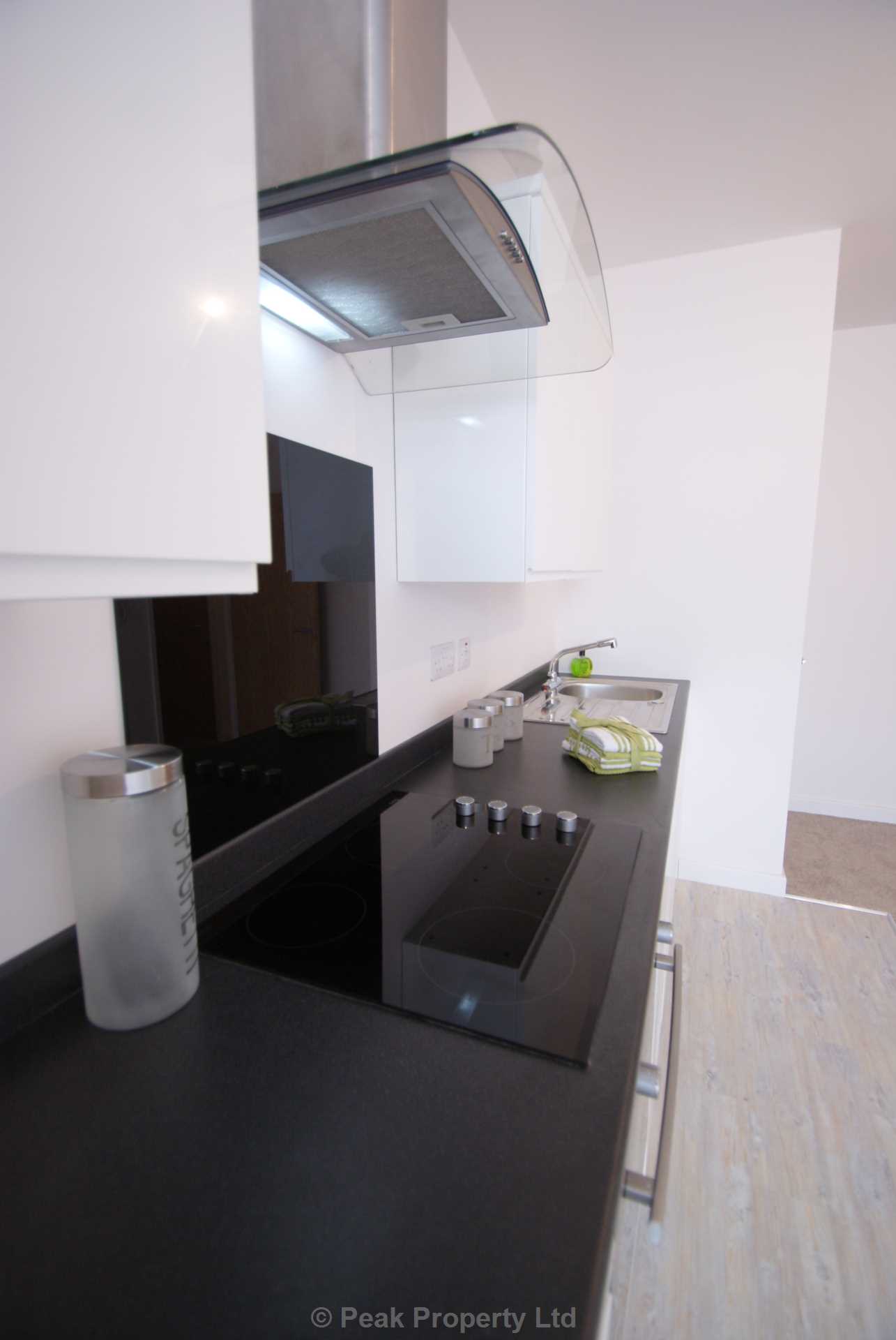 STUNNING APARTMENT WITH PARKING SPACE & EN-SUITE - The Pinnacle, Victoria Avenue, Image 5