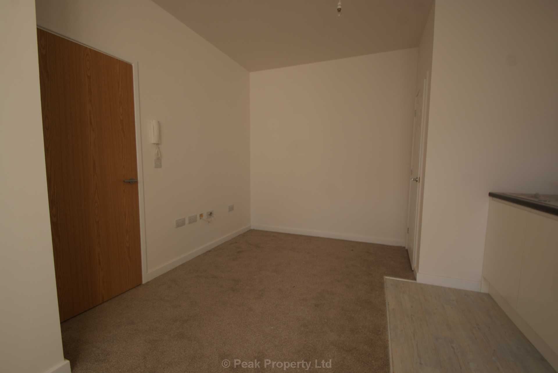 STUNNING APARTMENT WITH PARKING SPACE & EN-SUITE - The Pinnacle, Victoria Avenue, Image 6