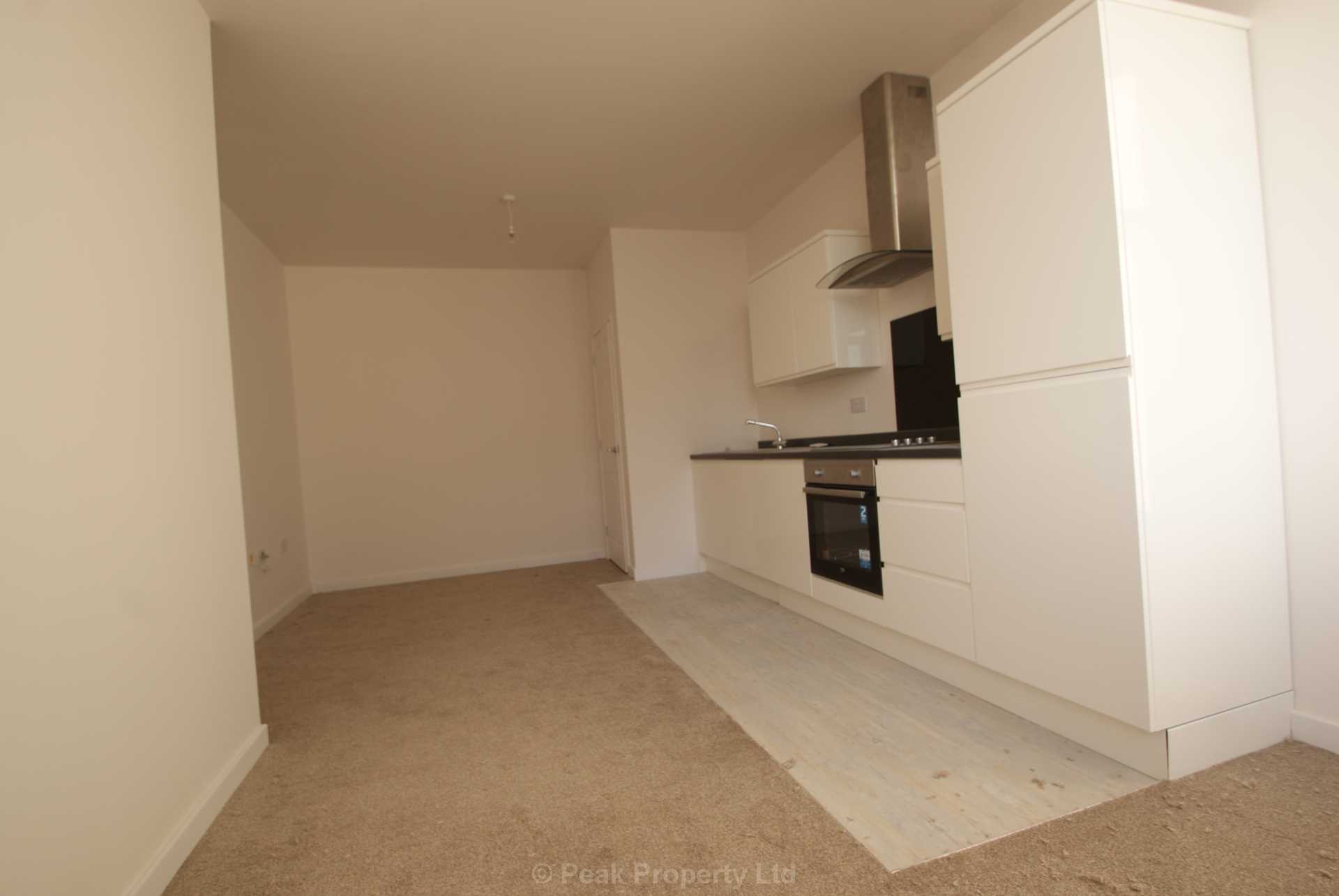 STUNNING APARTMENT WITH PARKING SPACE & EN-SUITE - The Pinnacle, Victoria Avenue, Image 7