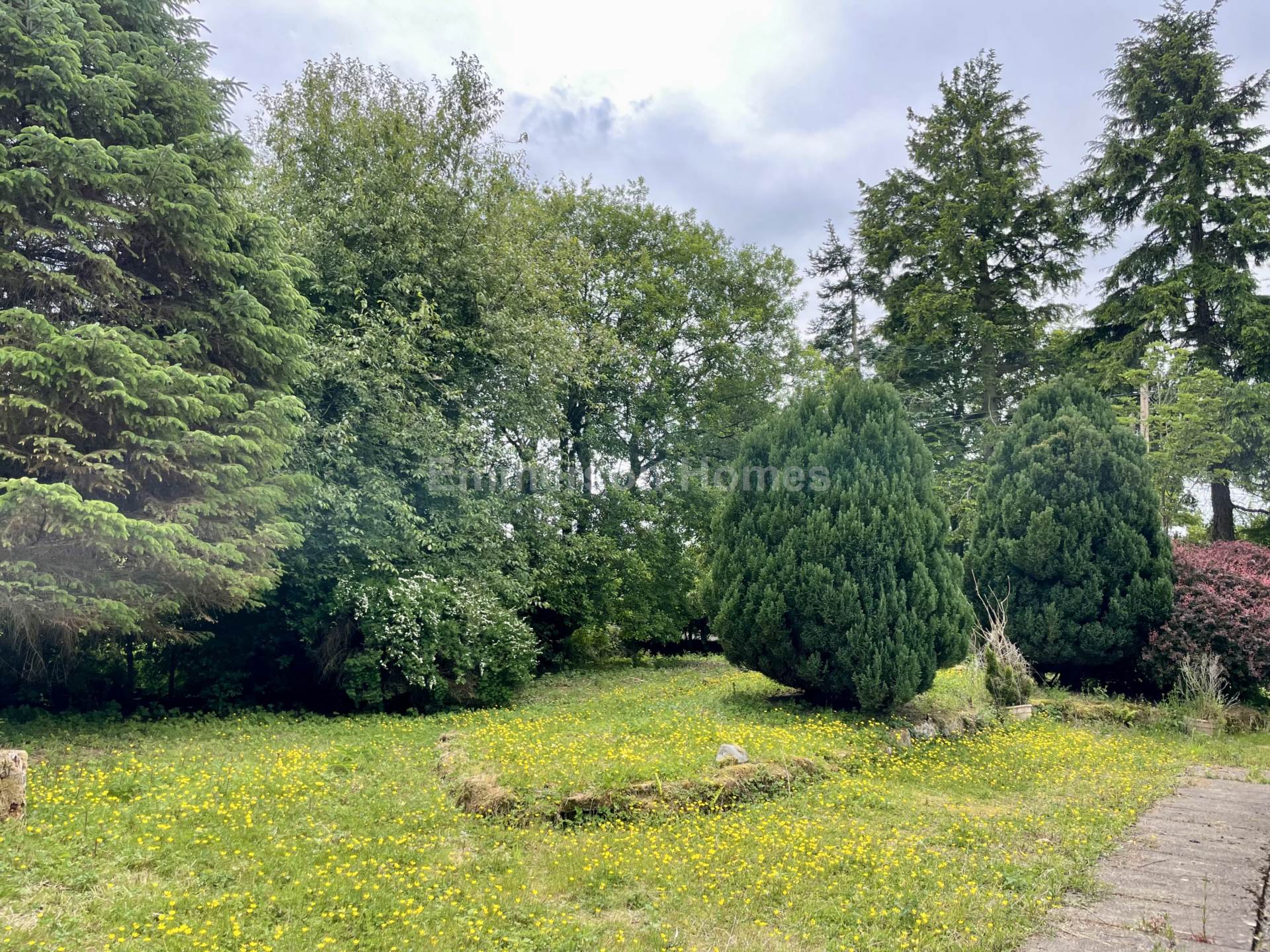 Glenburn, Blackaddie Road, Sanquhar, DG4, Image 20