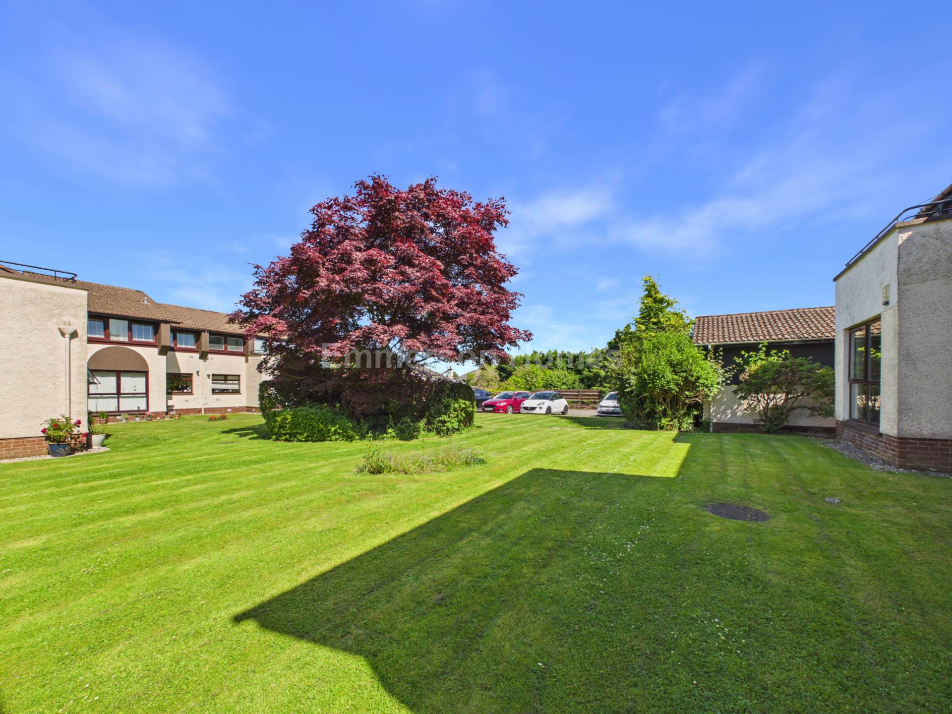 Rhumor Gardens, Kilbarchan, PA10, Image 15