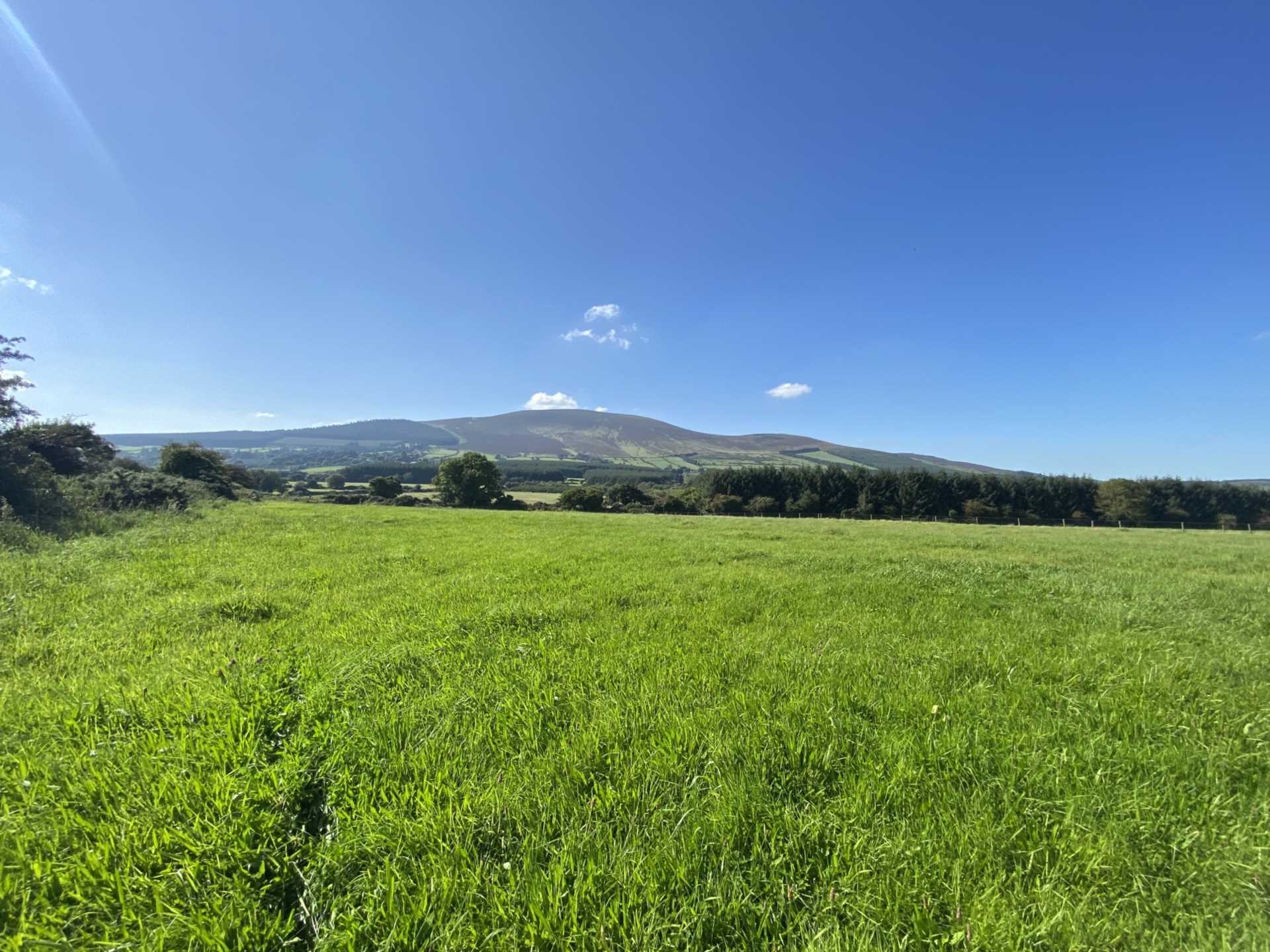 Tullohea, Kilcash Tullohea, Kilcash