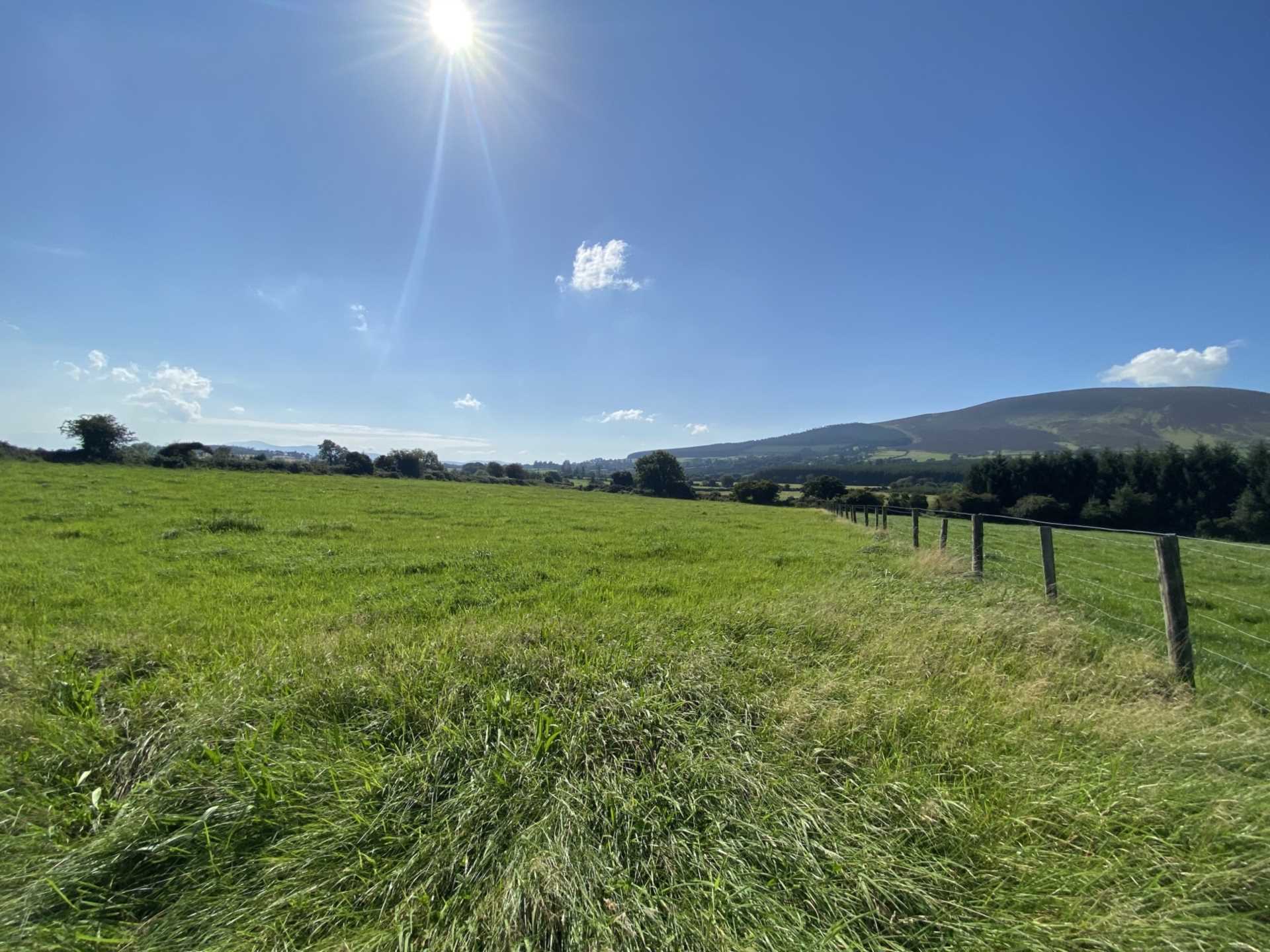 Tullohea, Kilcash Tullohea, Kilcash