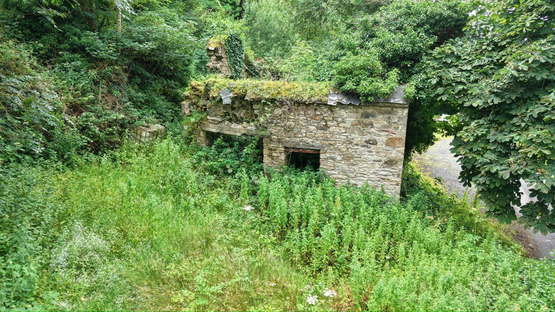 Kylatlea, Mullinahone, Co. Tipperary, E41 R295 Kylatlea, Mullinahone, Co. Tipperary, E41 R295