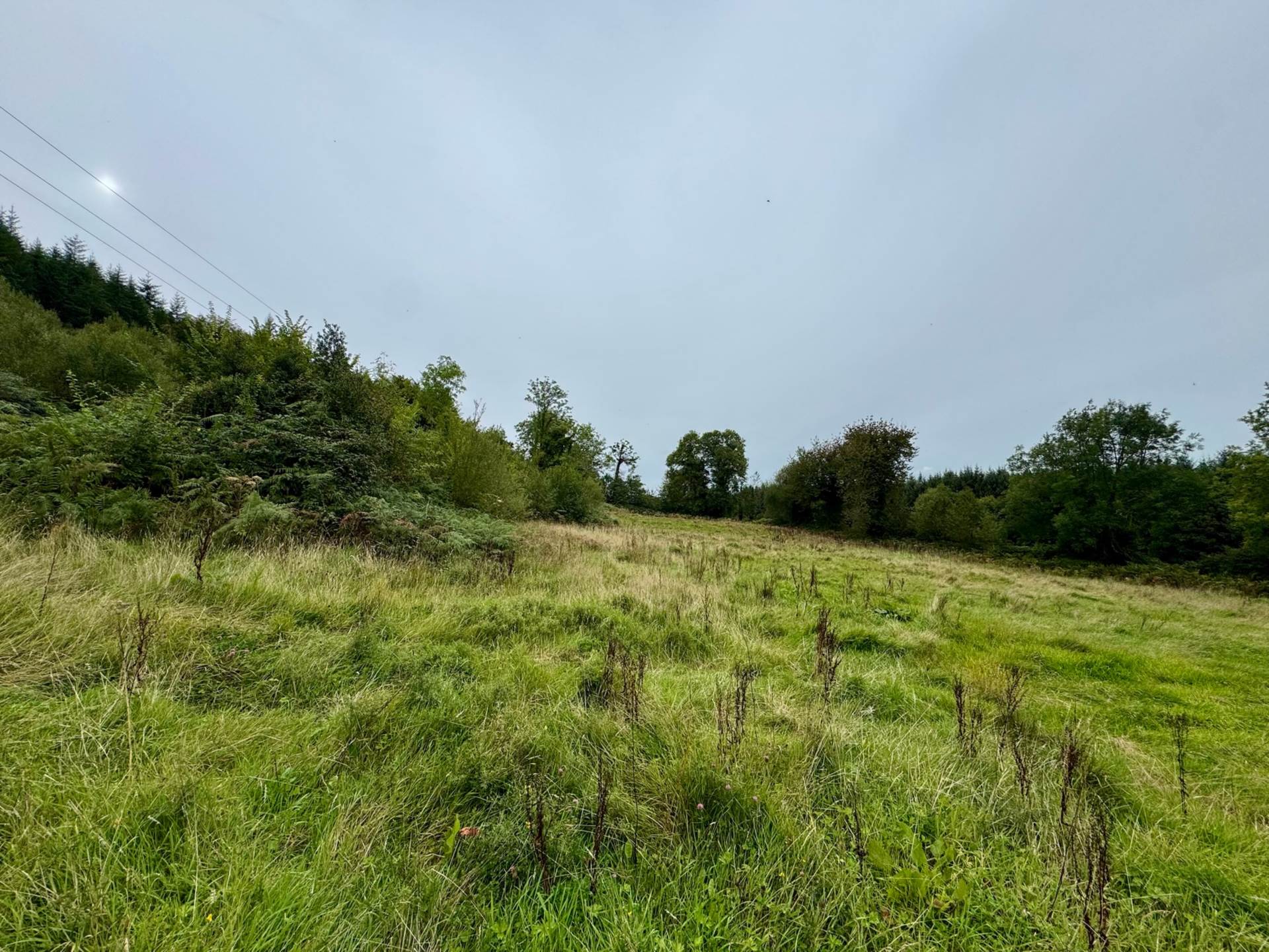 Boherboy, Mullinahone