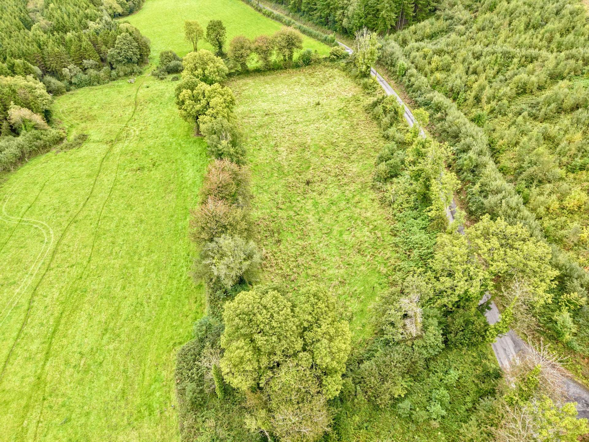 Boherboy, Mullinahone