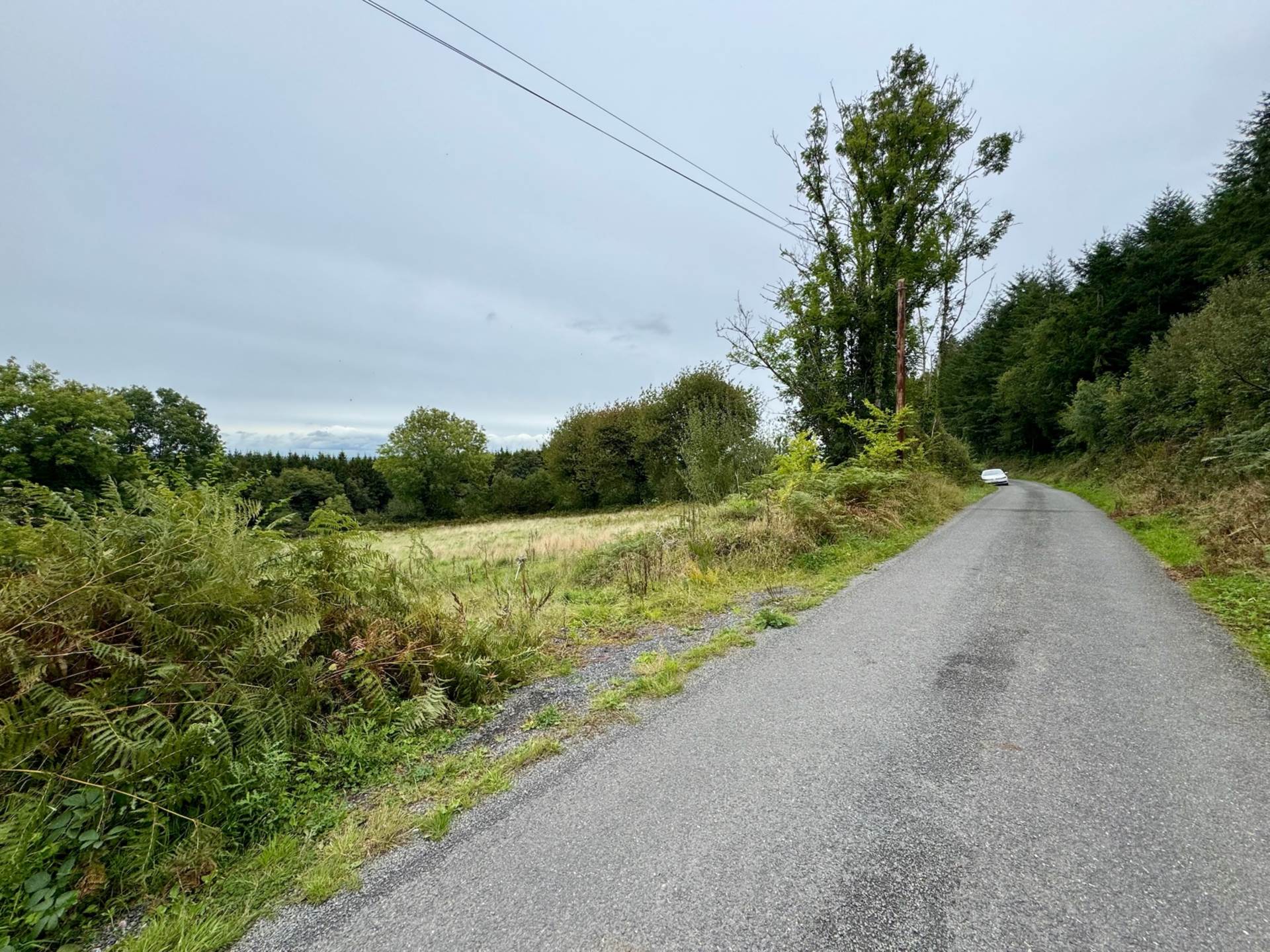 Boherboy, Mullinahone