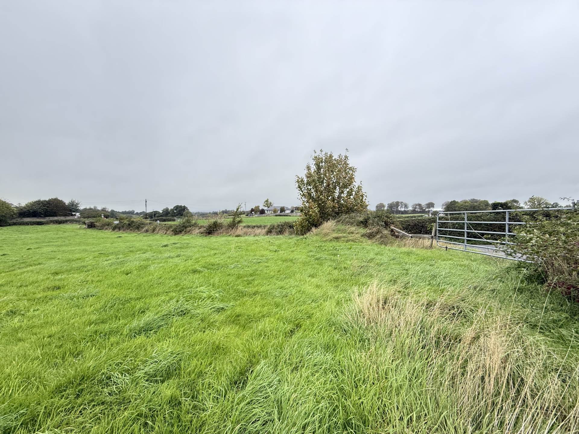 Site at Rochestown, Ardfinnan