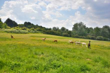 Hazelwood Close, Dunchurch, Image 19
