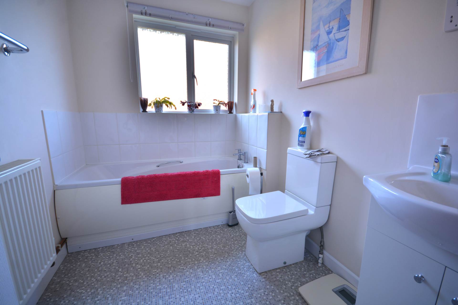 Noble Drive, Cawston, Image 17