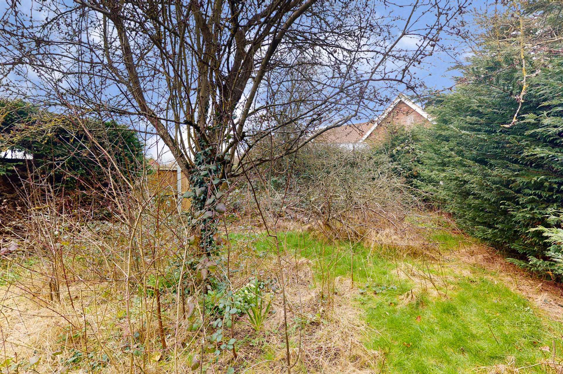 Property For Sale Tilkey Road, Coggeshall Philip James Estates (ID 1800)