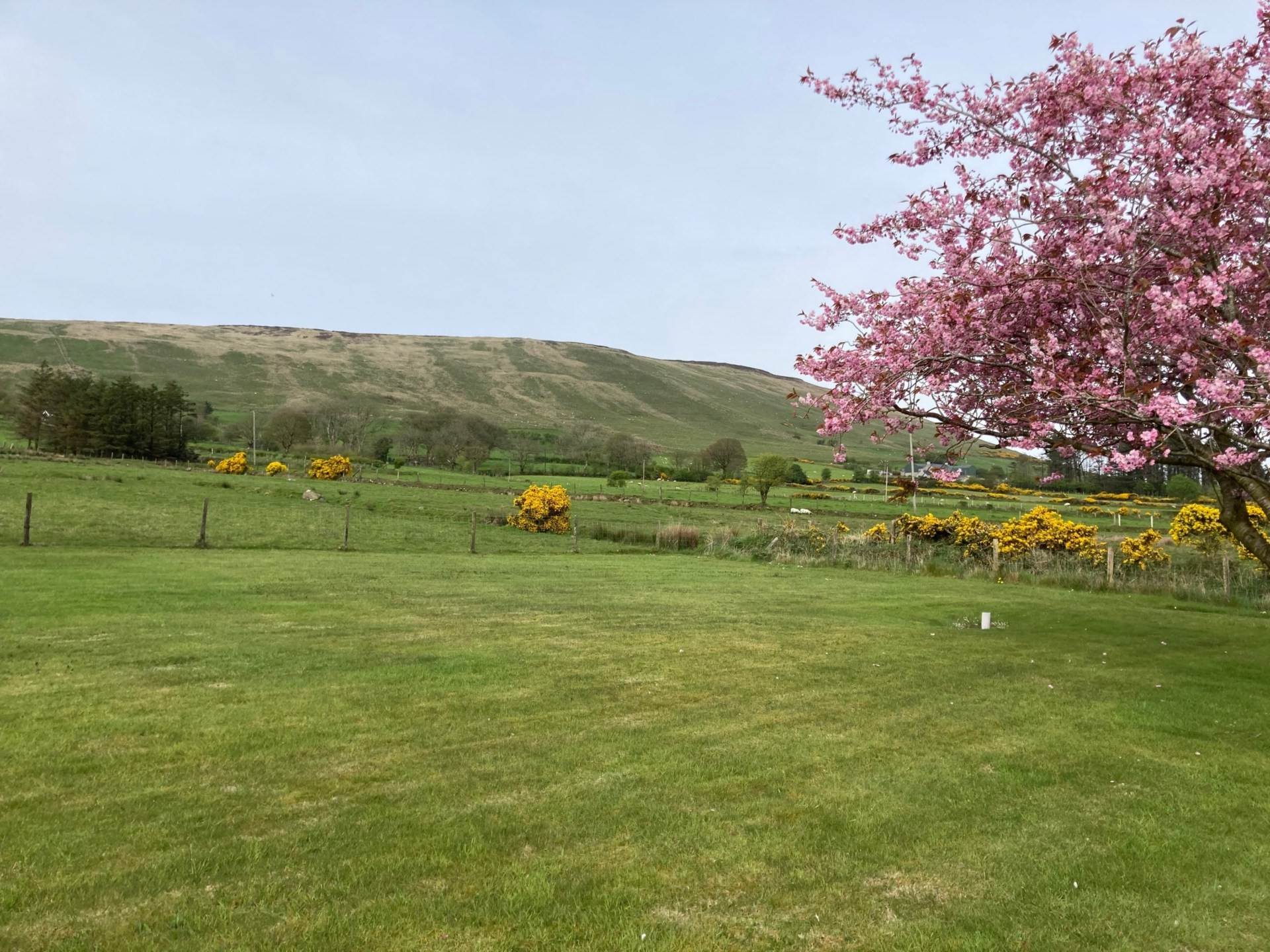 Stroan Road, Armoy, Image 11