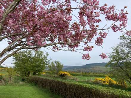 Stroan Road, Armoy, Image 10